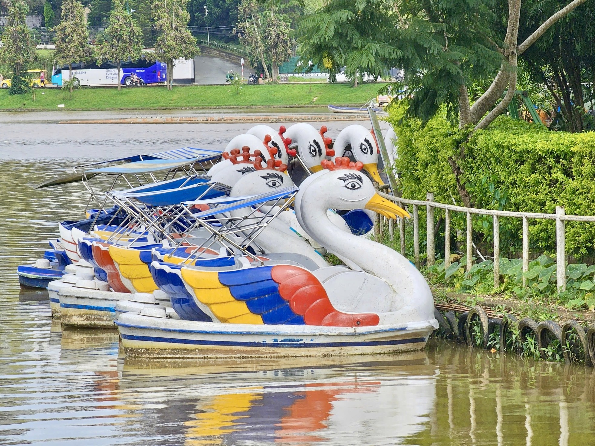 Chấm dứt hoạt động đạp vịt ở Đà Lạt, gần 100 chiếc thuyền 'phơi nắng, dầm mưa' ảnh 7