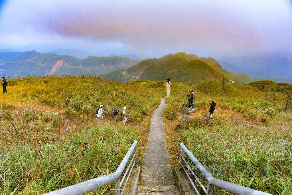 Ngắm thiên đường cỏ lau, lúa chín vàng ở huyện biên giới Bình Liêu, Quảng Ninh- Ảnh 4.