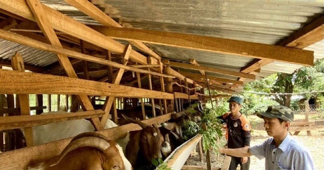 Hỗ trợ sinh kế giúp người dân giảm nghèo bền vững