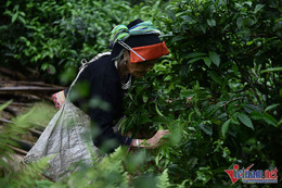 គម្របនាំចេញ 3 65.jpg