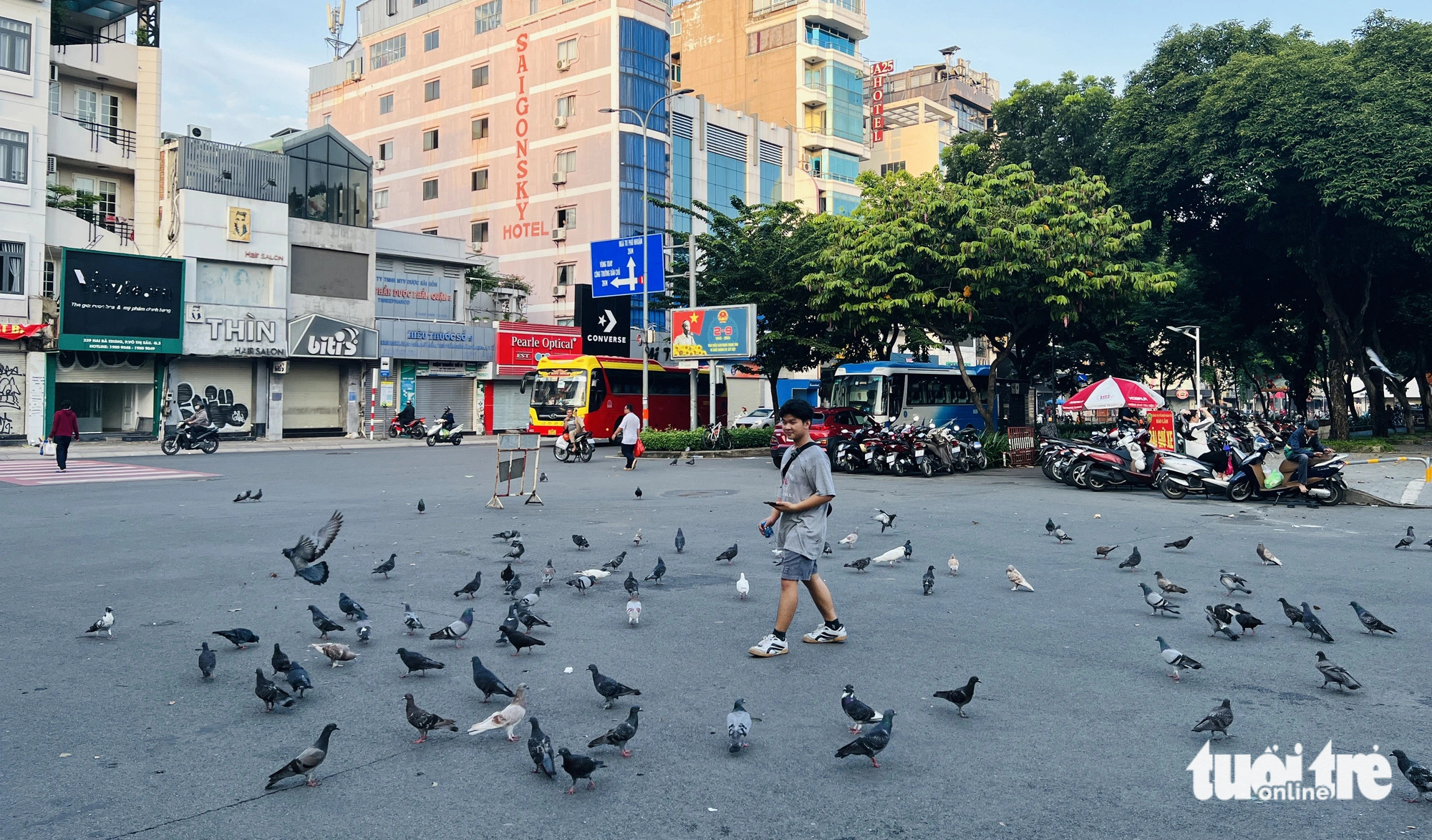 Hình ảnh đẹp nơi công viên: Anh bán vé số ngày nào cũng ba lần cho đàn bồ câu ăn - Ảnh 10.