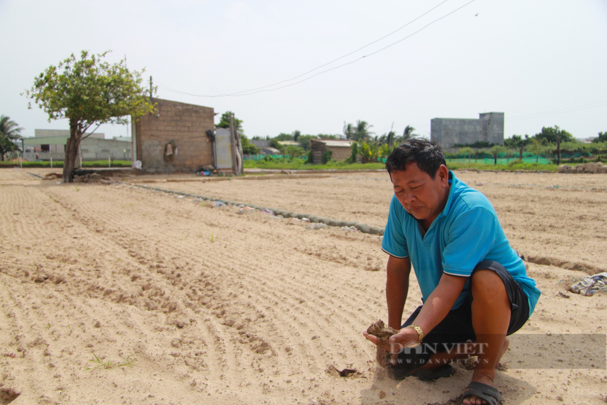 Nông dân Hợp tác xã hành tím ở Ninh Thuận kêu cứu vì nguồn nước ngầm bị nhiễm mặn nghiêm trọn - Ảnh 5.