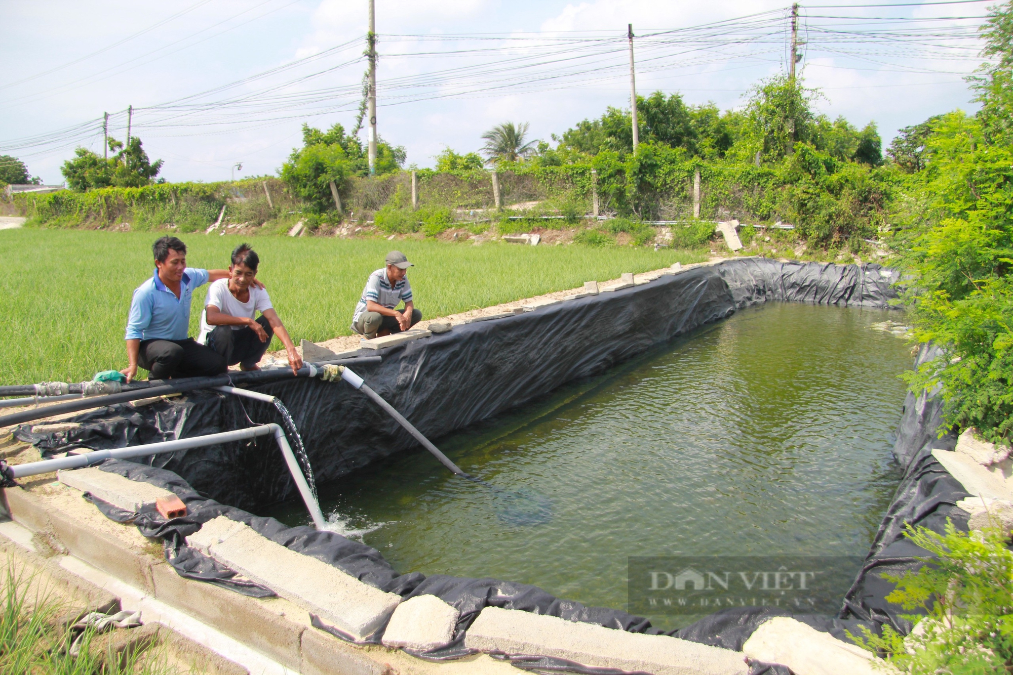 Nông dân Hợp tác xã hành tím ở Ninh Thuận kêu cứu vì nguồn nước ngầm bị nhiễm mặn nghiêm trọn - Ảnh 6.