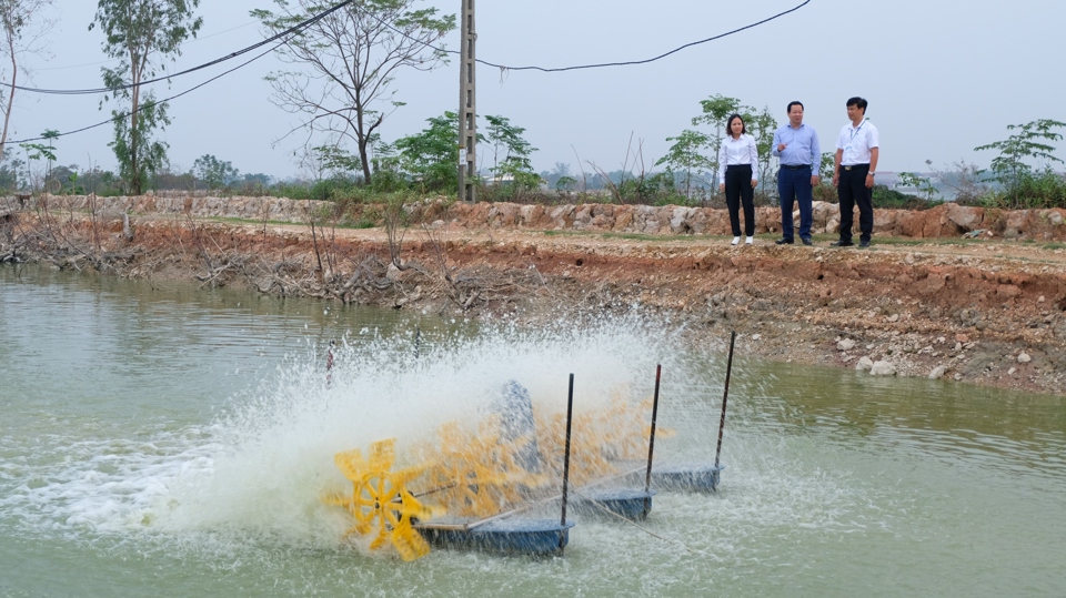 Mô hình nuôi trồng thuỷ sản mang lại giá trị kinh tế cao tại xã Vạn Thắng.