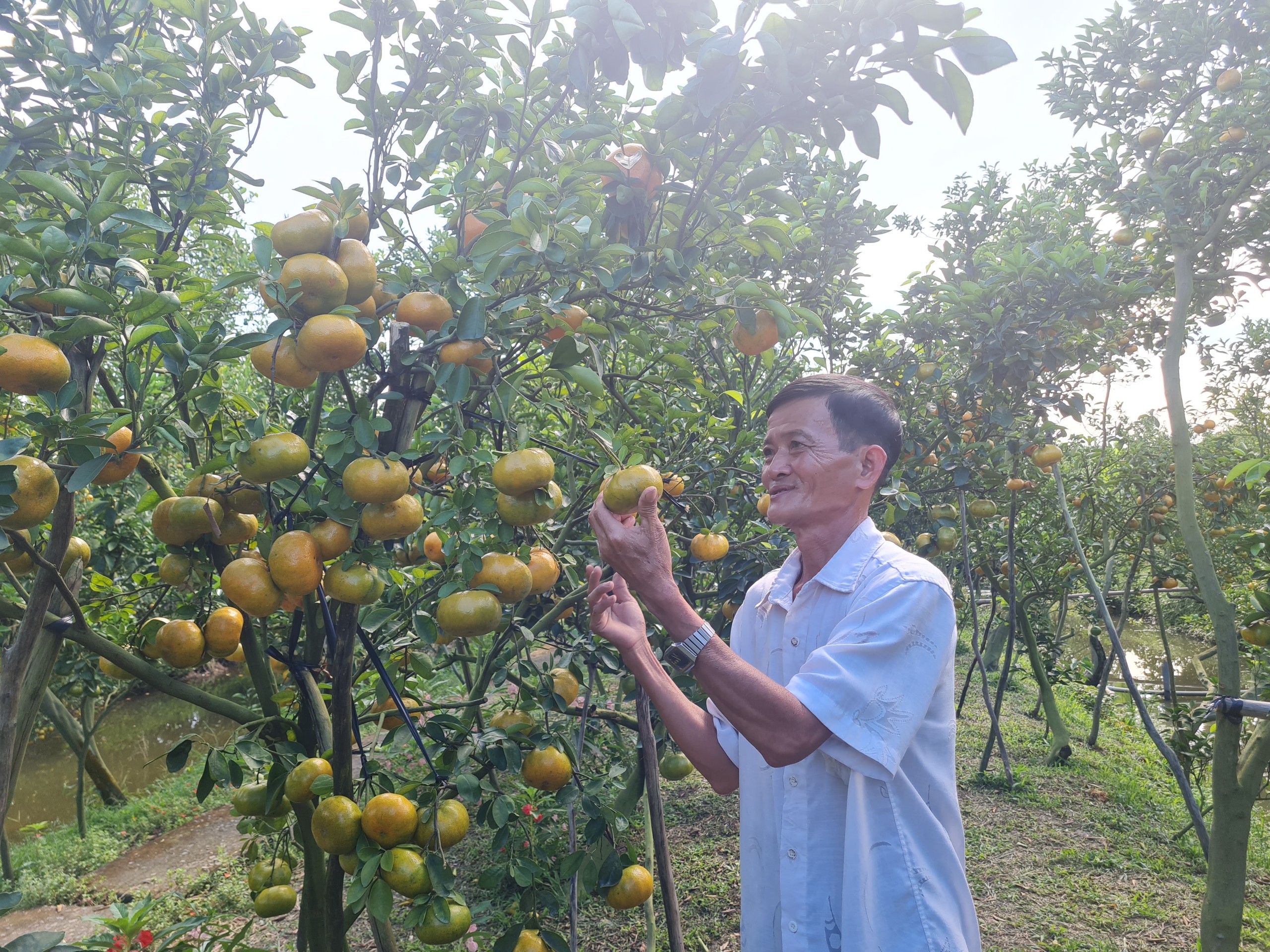 Con số xuất khẩu nông sản kỷ lục đã chứng minh hiệu quả công tác quản lý thuốc bảo vệ thực vật - Ảnh 4.