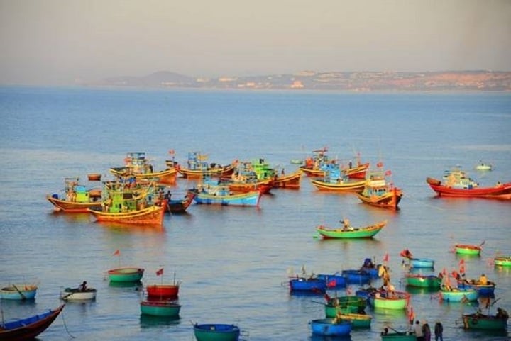 Những chiếc tàu đánh cá đầy màu sắc trên biển.