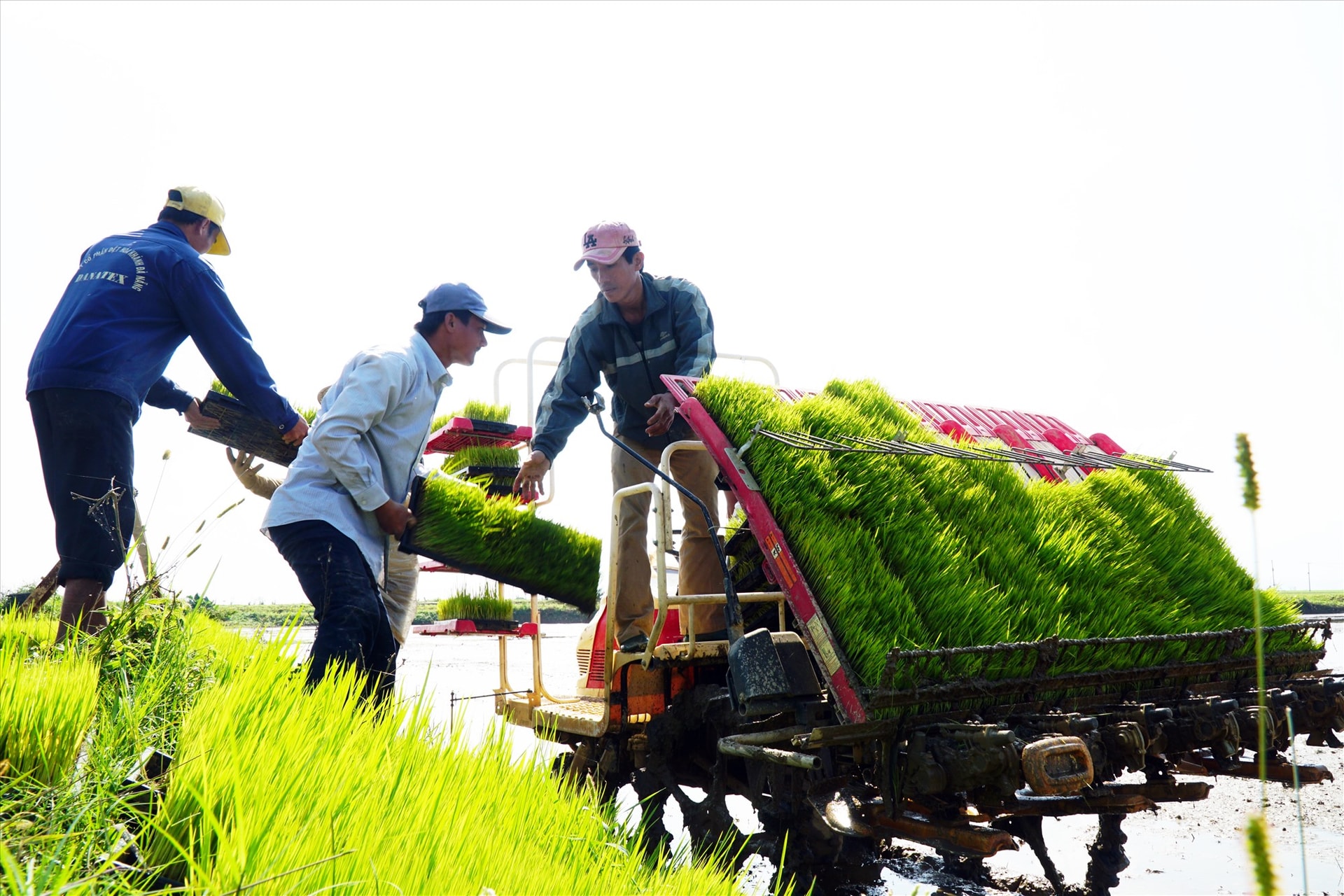 Khơi thông nguồn lực đất đai, nhìn từ những đại điền thế hệ mới - Ảnh 2.