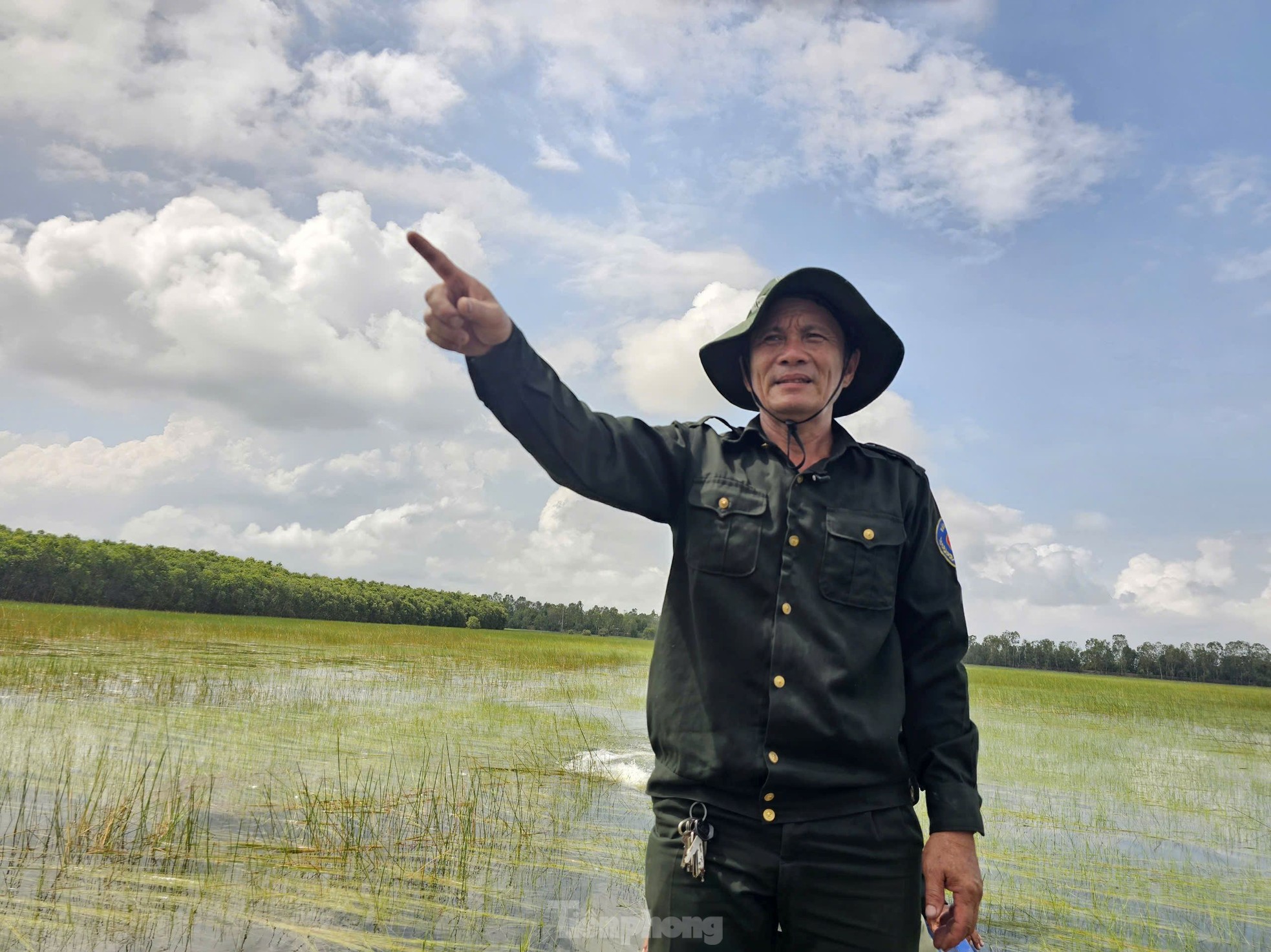 Nhà khoa học đã làm điều này để dụ sếu đầu đỏ trở lại Vườn Quốc gia Tràm Chim ảnh 4