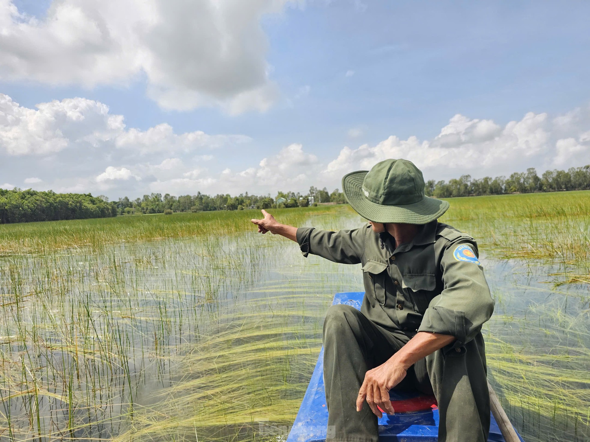 Nhà khoa học đã làm điều này để dụ sếu đầu đỏ trở lại Vườn Quốc gia Tràm Chim ảnh 5