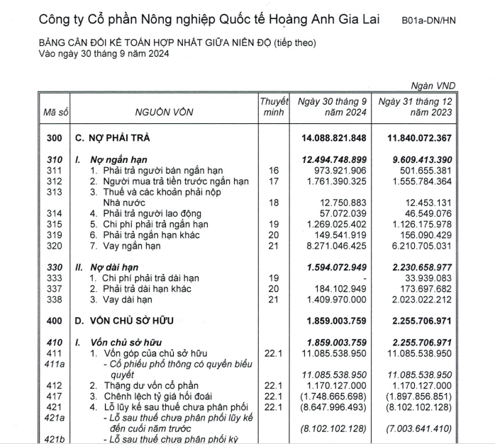 HAGL Agrico báo lỗ quý thứ 14 liên tiếp, nợ vay ngắn hạn tăng thêm hơn 2.000 tỷ đồng - Ảnh 2.