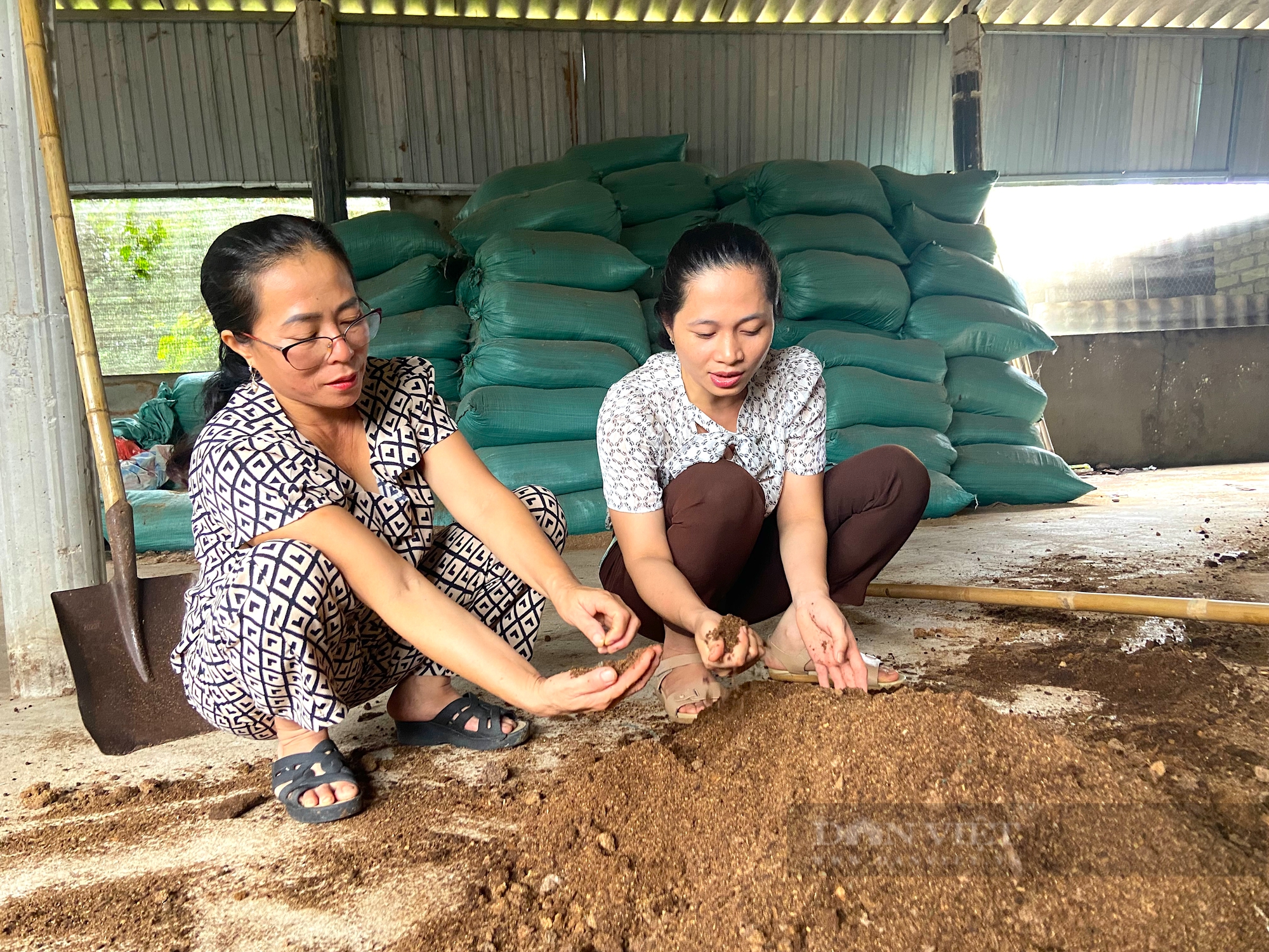 Nông dân Hà Tĩnh trồng loại cây “siêu sạch”, 10 ngày thu hoạch được, bán giá cao. - Ảnh 3.