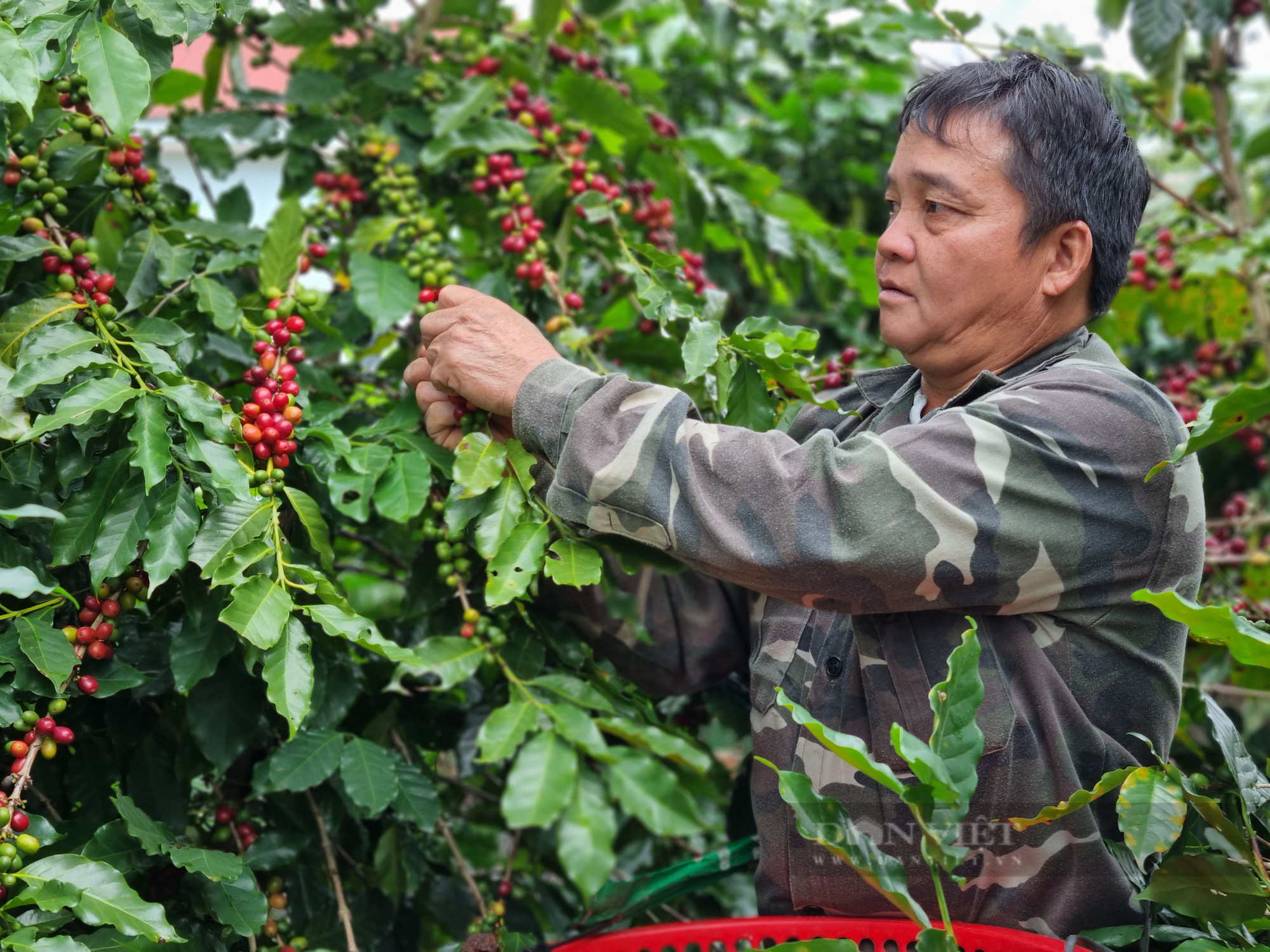 Tín dụng xanh – động lực phát triển bền vững: Làm sao để vốn xanh “tự tìm đến”? (Bài 3) - Ảnh 2.