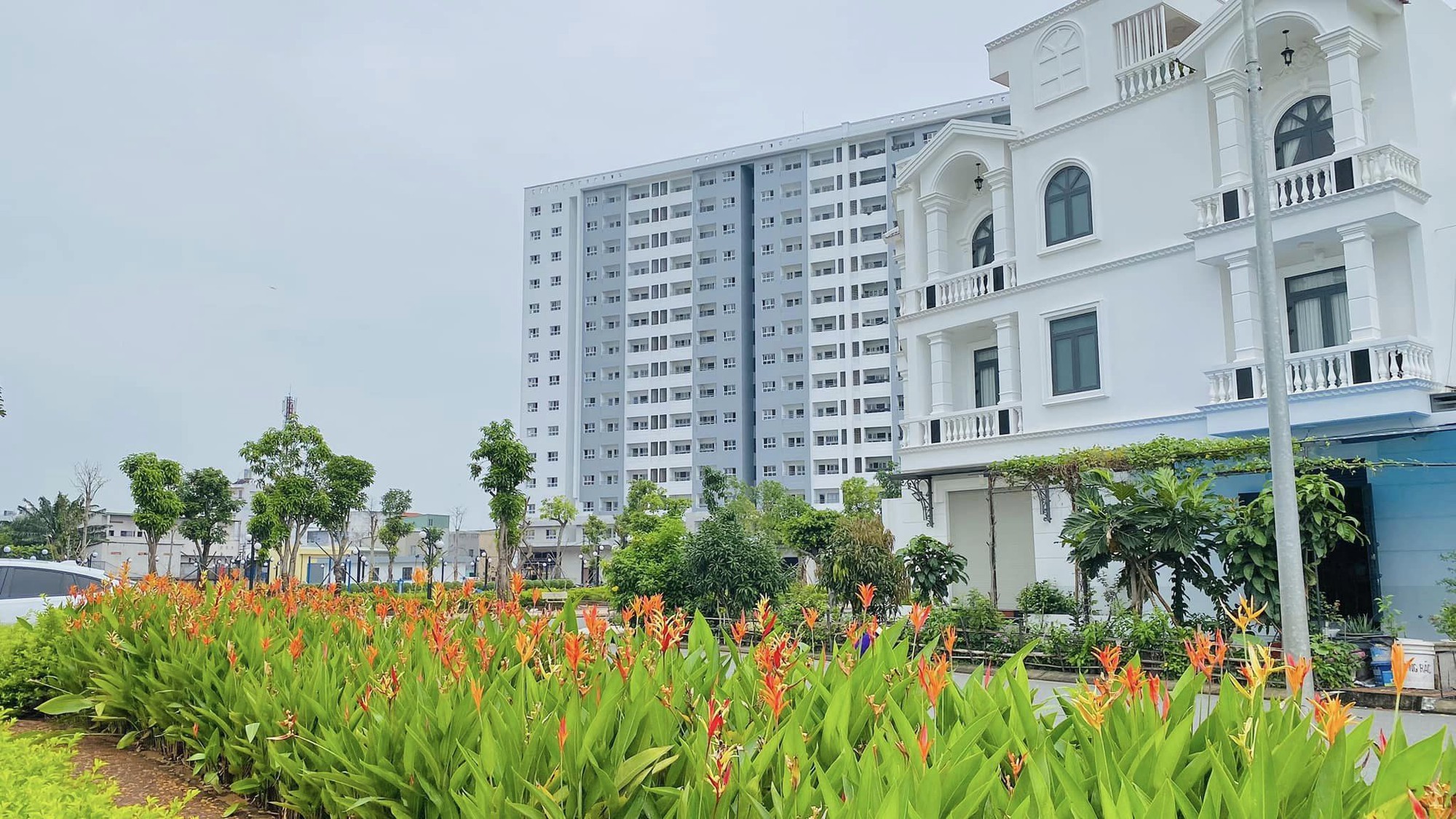 A white building with orange flowers  Description automatically generated