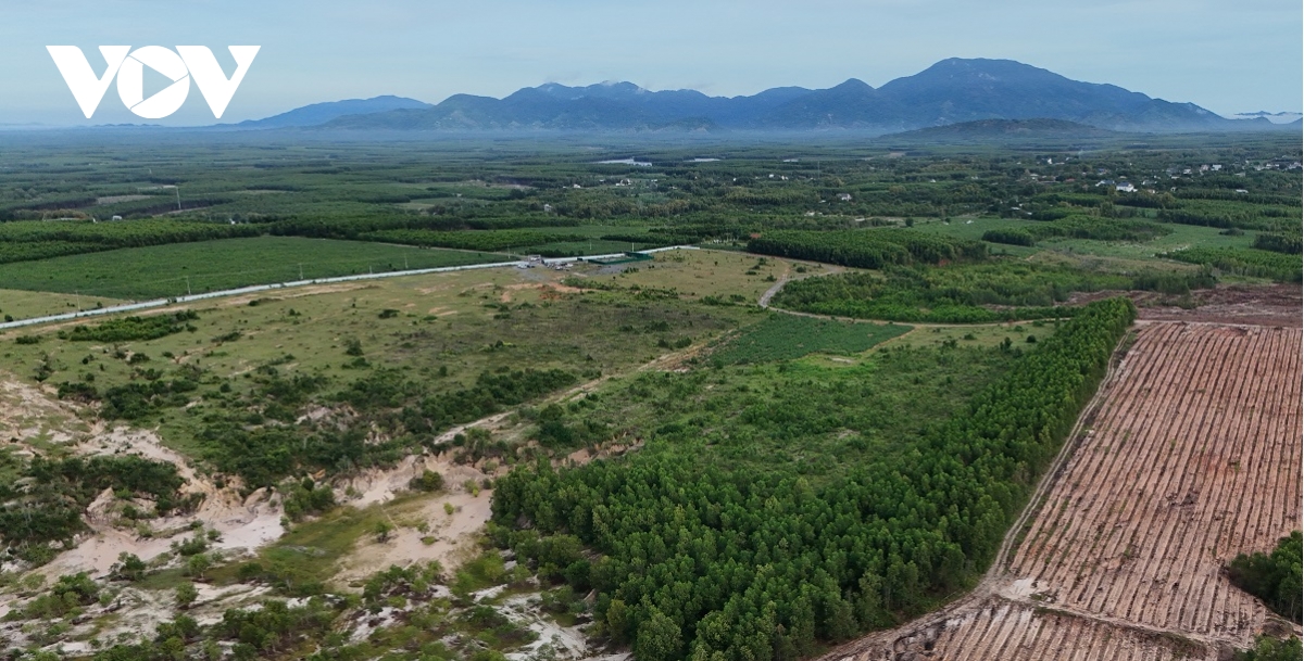 tien do cac khu cong nghiep quy mo lon o tinh binh thuan gio ra sao hinh anh 2