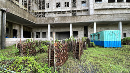 មន្ទីរពេទ្យមហារីក 8 1 443.jpg