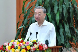 ndo_br_a3 dsc 7386 4743 copia.jpg