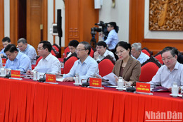 ndo_br_a6 dsc 7441 7093 copia.jpg