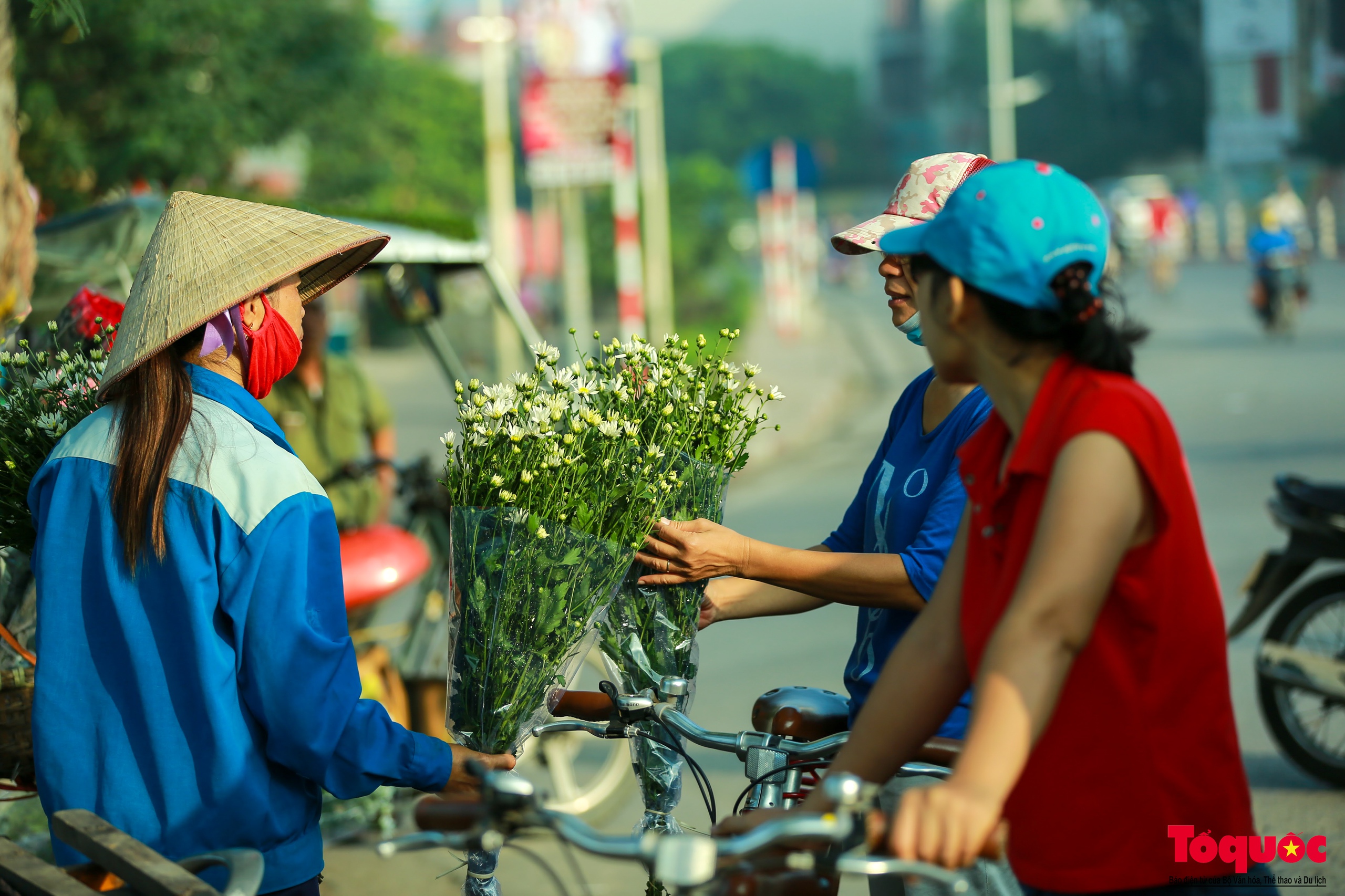 Vườn cúc họa mi hiếm hoi còn sót lại tại Nhật Tân sau bão Yagi - Ảnh 14.