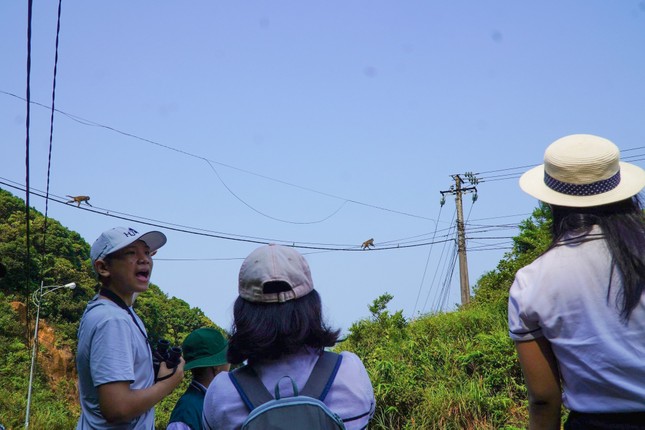 Lớp học đặc biệt trên bán đảo Sơn Trà ảnh 2