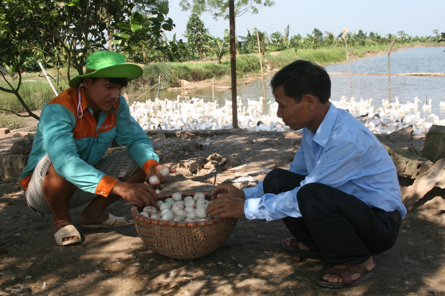 Quỳnh Phụ điển hình xây dựng NTM (kỳ 1): Từ nâng cao nhận thức đến cơ chế kích cầu - Ảnh 3.