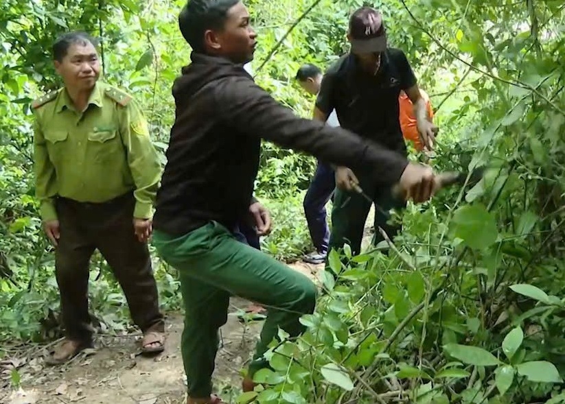 (Bài CTV Sỹ Hào) Chính sách chi trả DVMTR: Tạo động lực để người dân giữ gìn và phát triển rừng 1