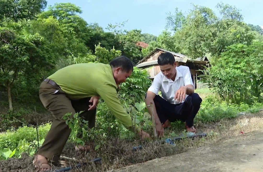 (Bài CTV Sỹ Hào) Chính sách chi trả DVMTR: Tạo động lực để người dân giữ gìn và phát triển rừng 2