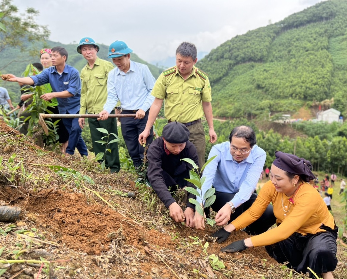 Việc tập trung trồng, khôi phục lại diện tích rừng đã mất có ý nghĩa quan trọng để “chữa lành lá phổi xanh” sau thiên tai