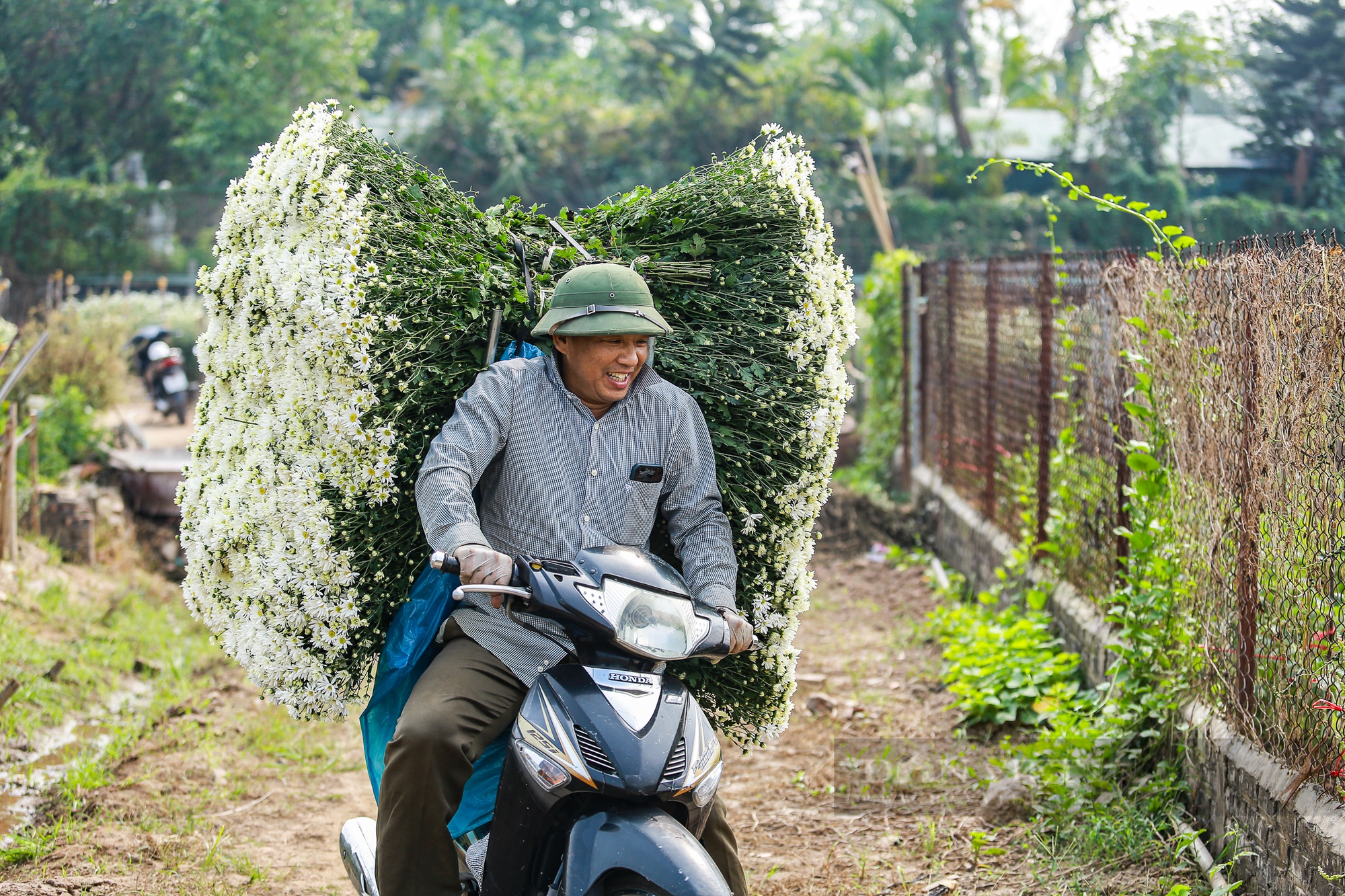 Vườn cúc họa mi sót lại sau bão bung nở, người dân vỡ òa cảm xúc - Ảnh 10.