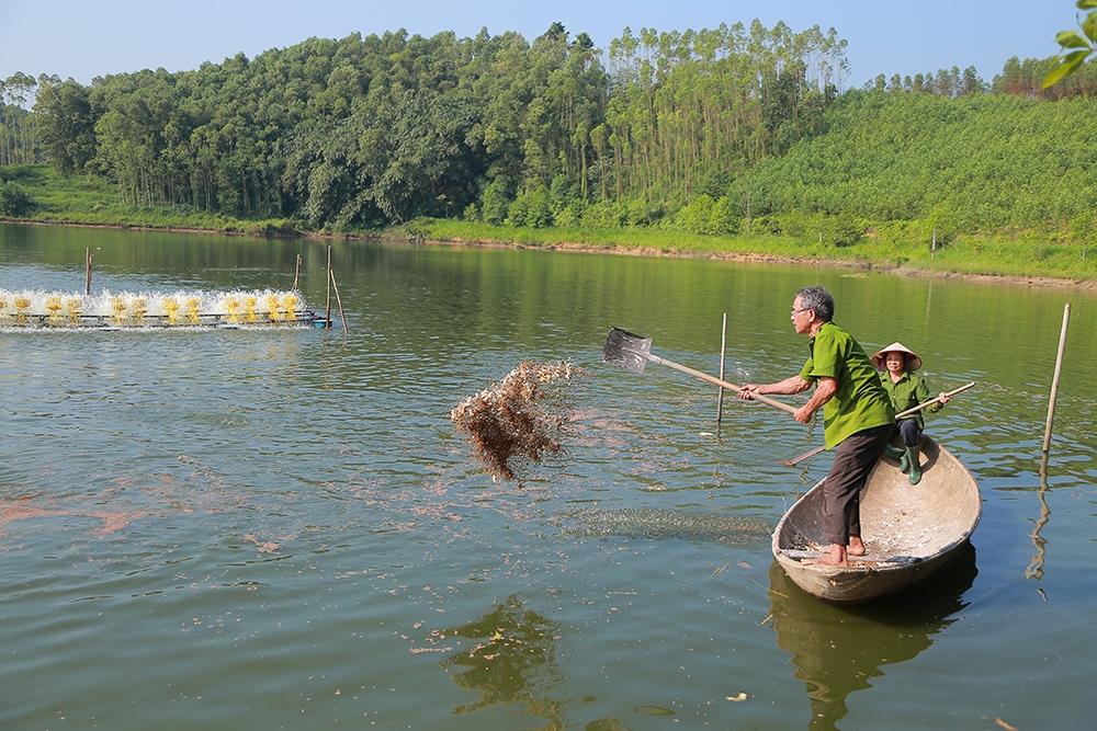 Nhờ thực hiện có hiệu quả các chính sách dân tộc, đời sống kinh tế của Nhân dân trên địa bàn tỉnh Phú Thọ có nhiều chuyển biến tích cực (Ảnh minh họa).