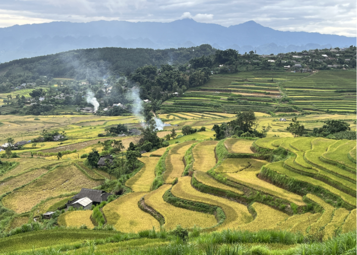 Vào mùa thu hoạch không thể thiếu những ngọn khói đốt rơm tô điểm cho thung lũng.