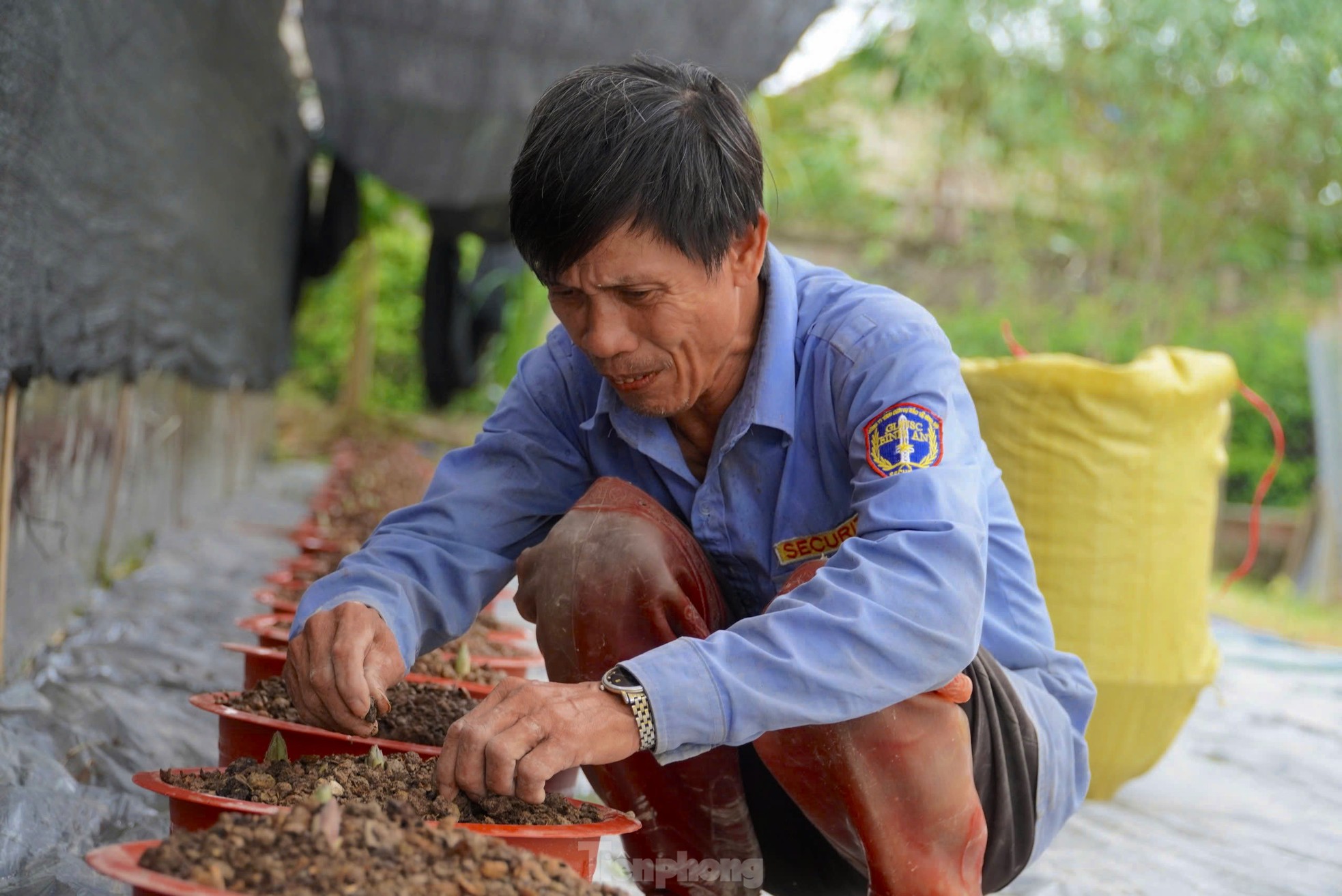 Làng hoa nổi tiếng Hà Tĩnh dùng đèn chiếu cho hoa, tất bật vào vụ Tết ảnh 6