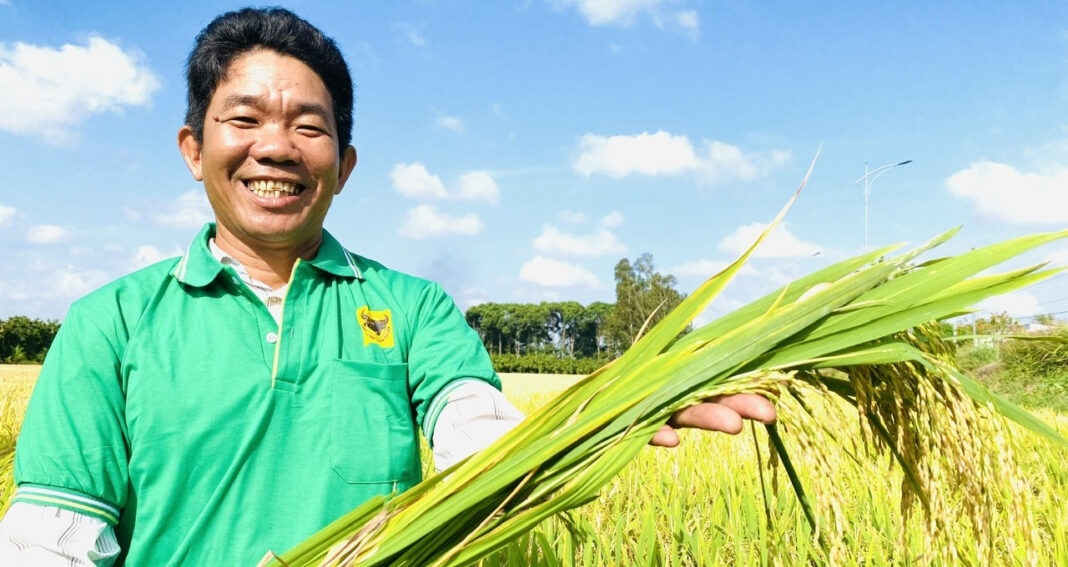 Hậu Giang xây dựng nông nghiệp hiện đại, nâng cao thu nhập cho nhà nông