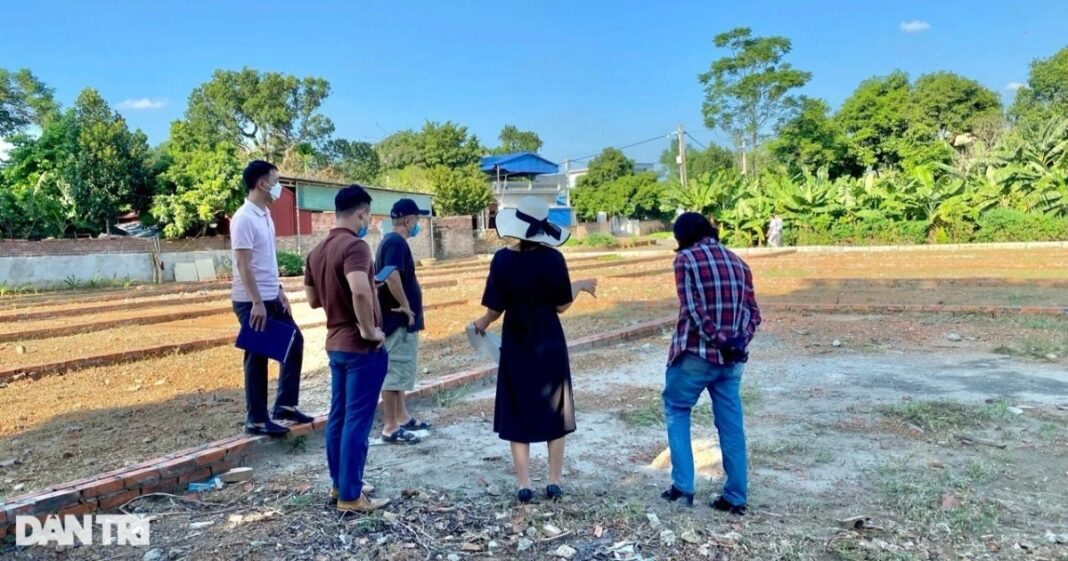 Chuyên gia tiết lộ thời điểm thị trường bất động sản khởi sắc
