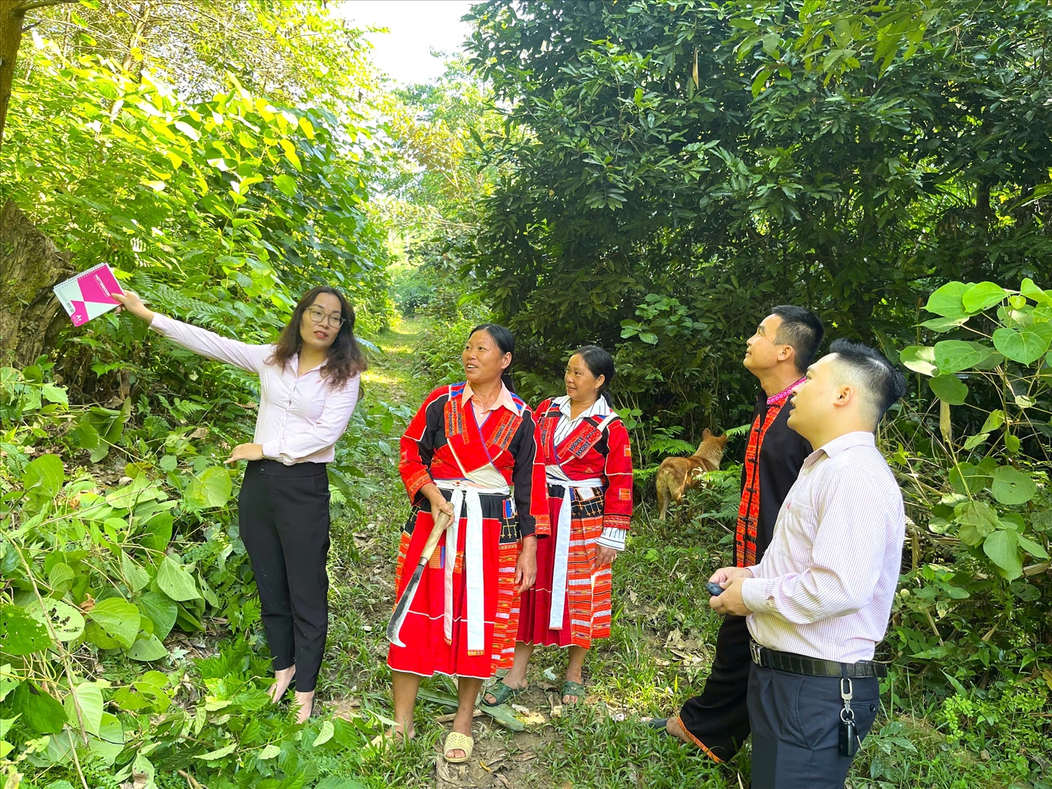 Cán bộ Phòng Giao dịch Ngân hàng CSXH huyện Lâm Bình kiểm tra sử dụng nguồn vốn vay tại xã Hồng Quang.