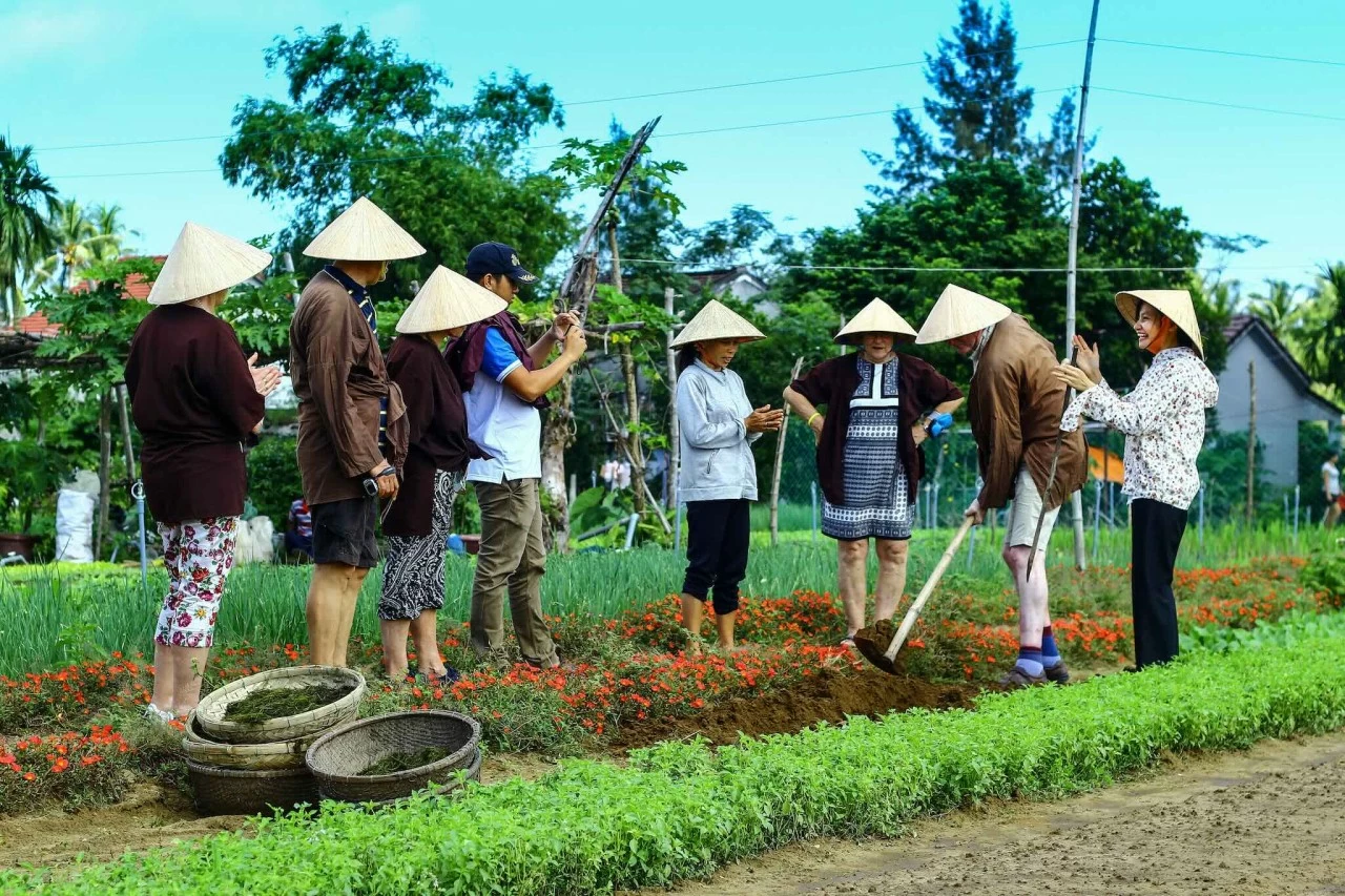 Quảng Nam: UN Tourism vinh danh làng rau Trà Quế là ‘Làng Du lịch tốt nhất năm 2024’