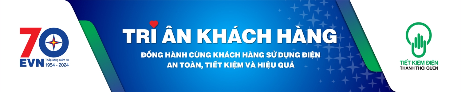 Tập đoàn Điện lực Việt Nam (EVN): Đồng hành cùng khách hàng sử dụng điện an toàn, tiết kiệm và hiệu quả 1