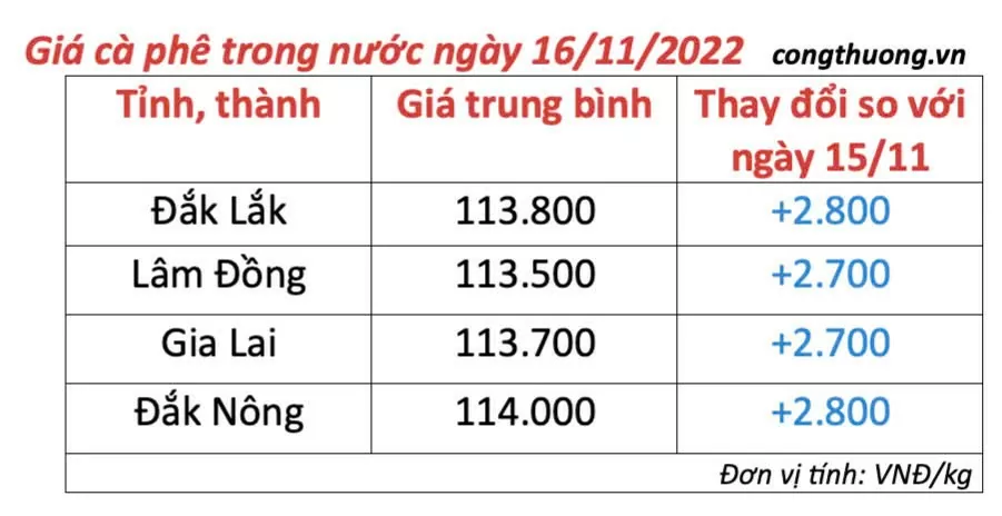 Giá cà phê hôm nay 16/11/2024: Giá cà phê trong nước