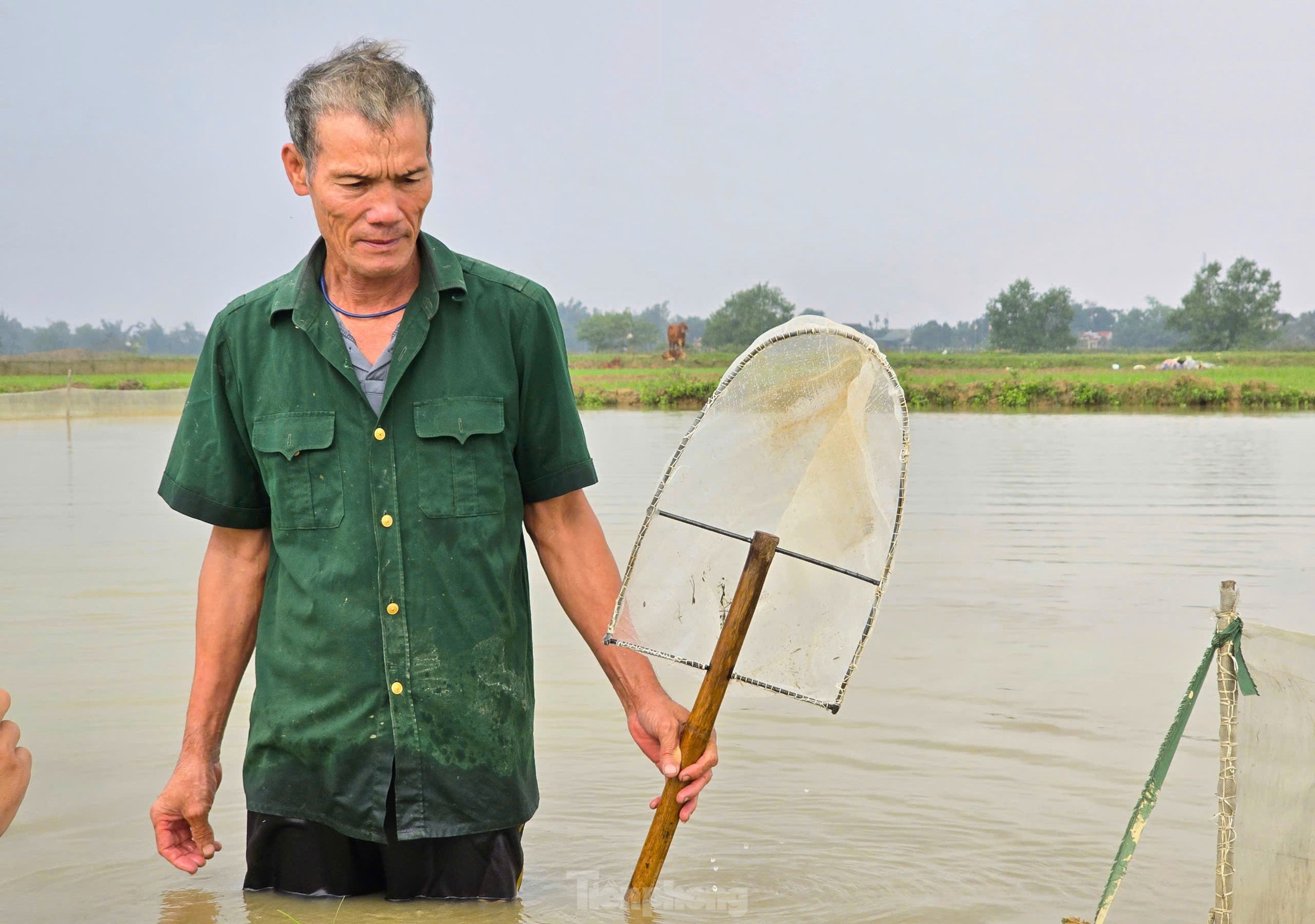 Người dân dựng cọc, chăng lưới chờ vớt 'lộc trời' ảnh 8