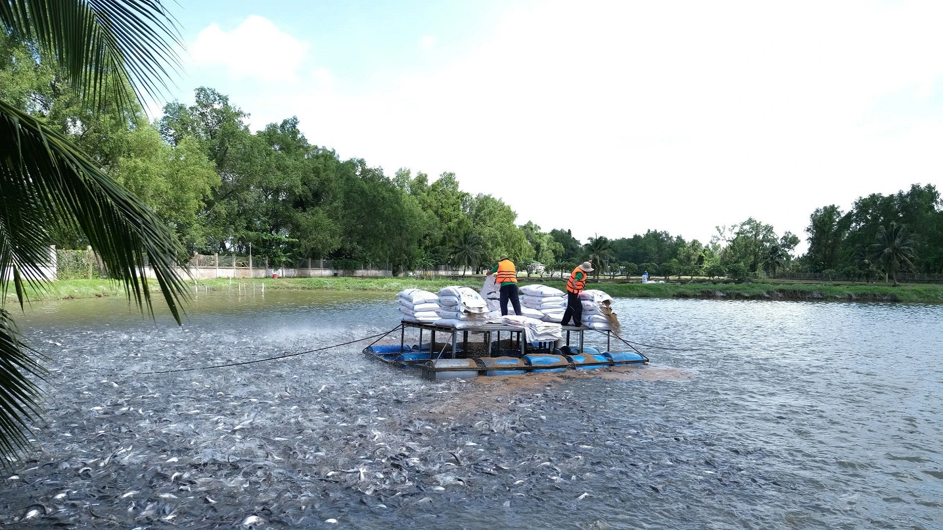 Thúc đẩy tín dụng ngành nông sản chủ lực vùng đồng bằng sông Cửu Long ảnh 2