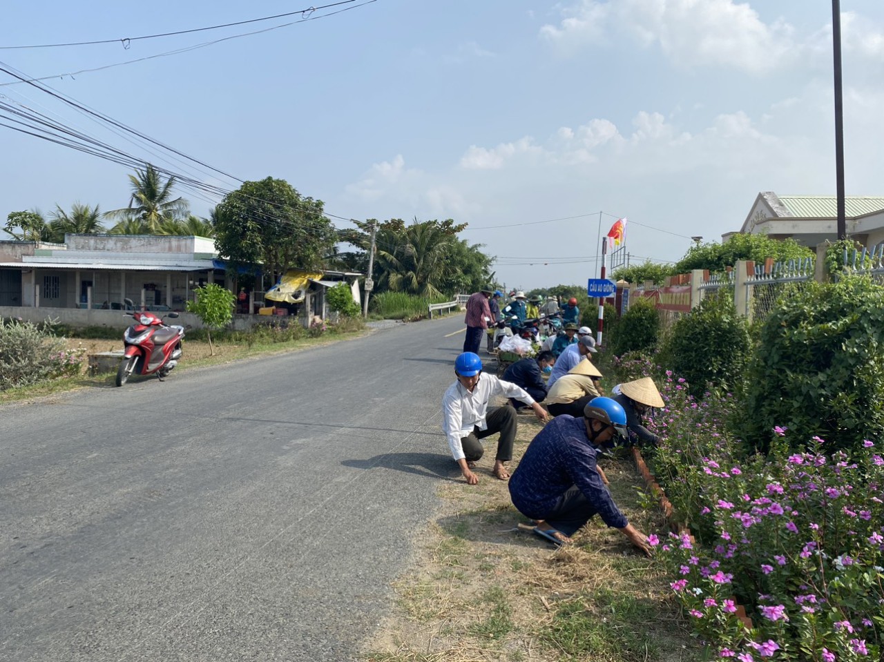 Tuyến đường hoa 1.200m ở một xã nông thôn mới kiểu mẫu của Tiền Giang đẹp mê tơi, hoa dừa cạn bung nở - Ảnh 4.