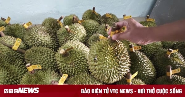 Vietnamese durian 'alone in the market', sky-high prices - Vietnam.vn