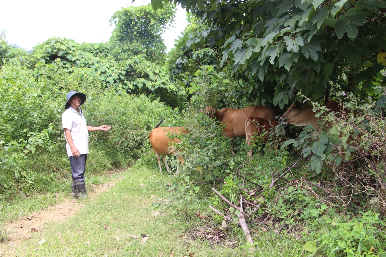  Người có uy tín ở Phước Sơn tiên phong trong phát triển kinh tế, xứng đáng là điểm tựa của buôn, làng.