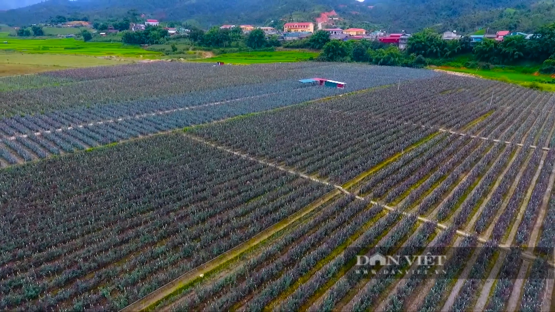 Nậm Khắt trở thành xã Nông thôn mới đầu tiên của huyện vùng cao Mù Cang Chải, làm sao để đạt được? - Ảnh 5.