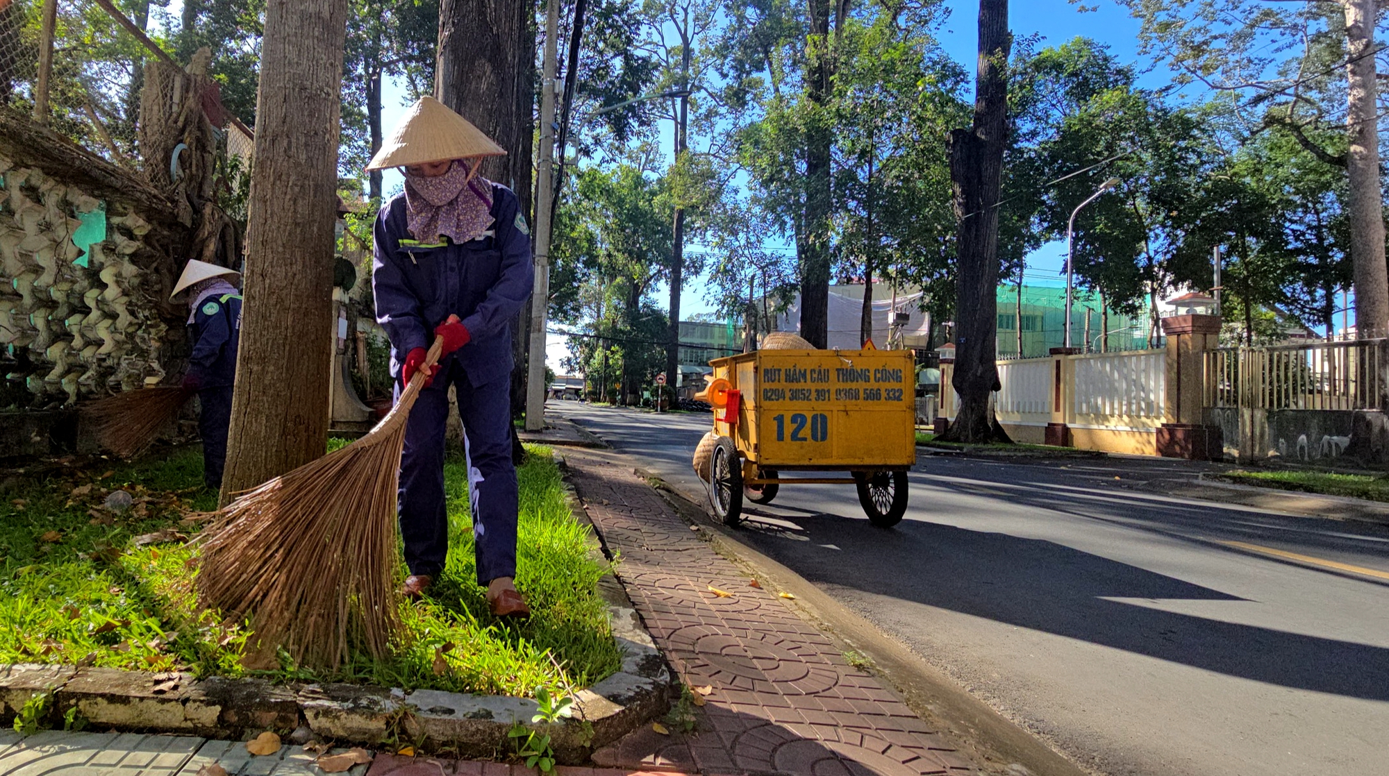 Trà Vinh không mở rộng đường trung tâm để bảo vệ hơn 14.000 cây xanh- Ảnh 6.