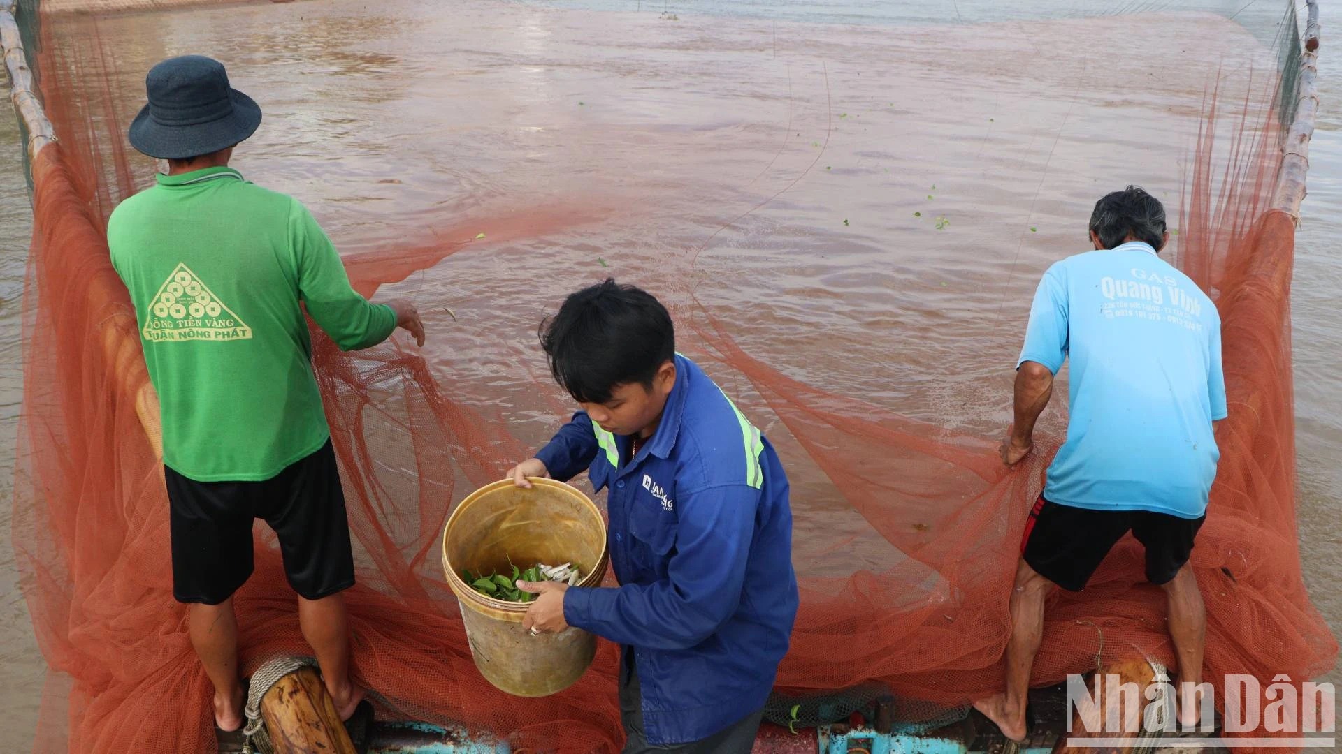 Bắt la liệt cá linh, cá đồng, tôm sông mùa nước nổi An Giang, sao vẫn lo con nước bất thường?- Ảnh 4.