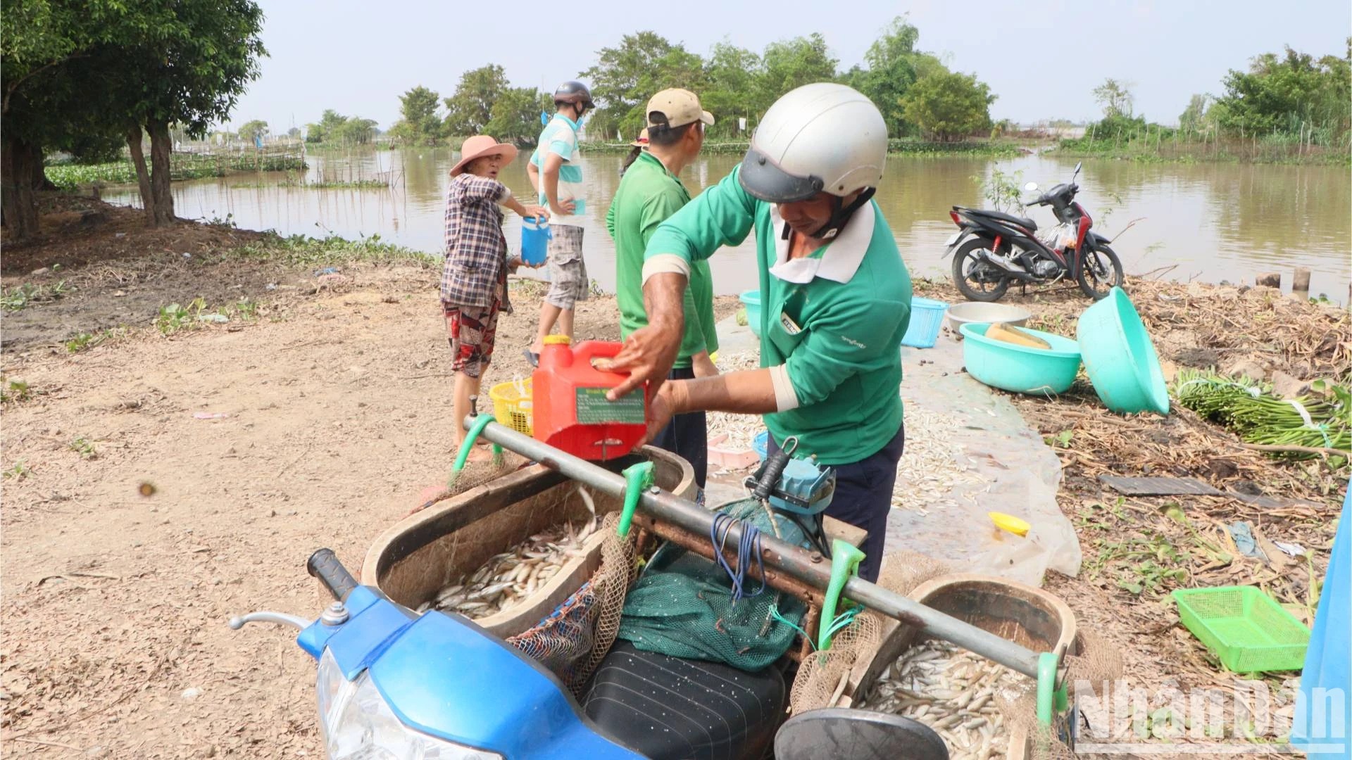 Bắt la liệt cá linh, cá đồng, tôm sông mùa nước nổi An Giang, sao vẫn lo con nước bất thường?- Ảnh 8.