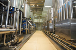 រូបថត 5.jpg