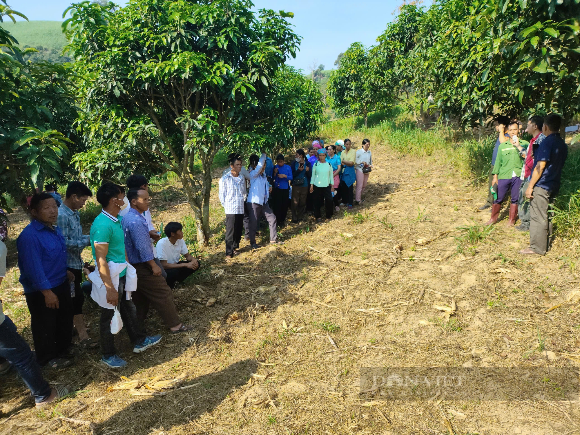 Phục hồi đất bị suy thoái và xây dựng tính bền bỉ với khí hậu ở Lào Cai- Ảnh 5.