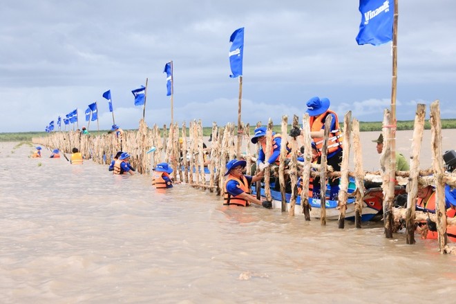 Đoàn nhân viên Vinamilk tham gia khoanh nuôi tái sinh tự nhiên 25ha rừng ngập mặn tại Vườn quốc gia Mũi Cà Mau năm thứ 2