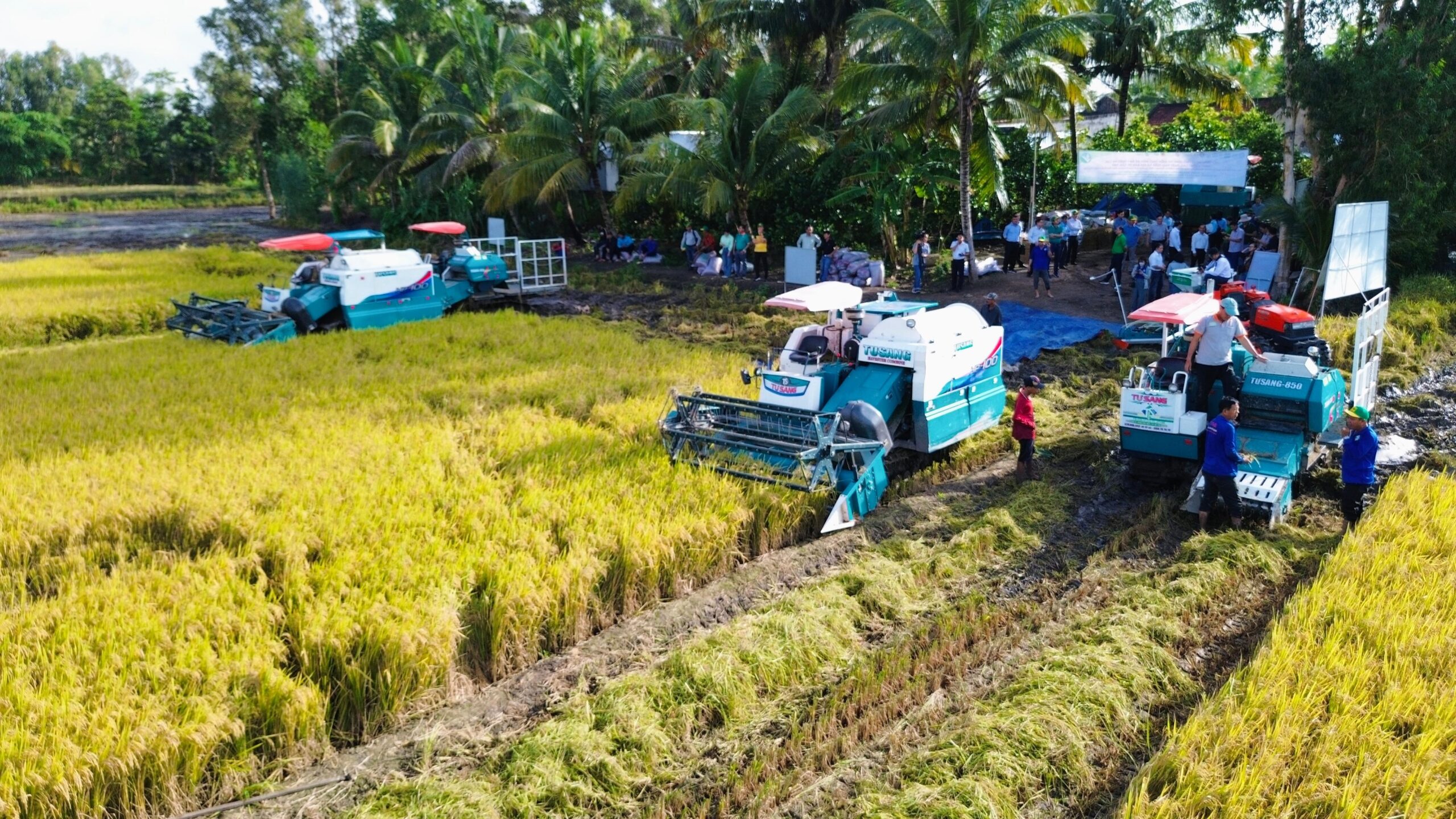 Đề xuất bố trí đủ nhân lực, nguồn vốn cho Đề án 1 triệu ha lúa chất lượng cao, phát thải thấp - Ảnh 6.